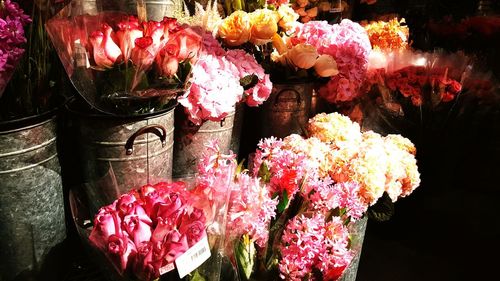 Close-up of pink flowers