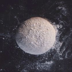 Close-up of jellyfish in sunlight