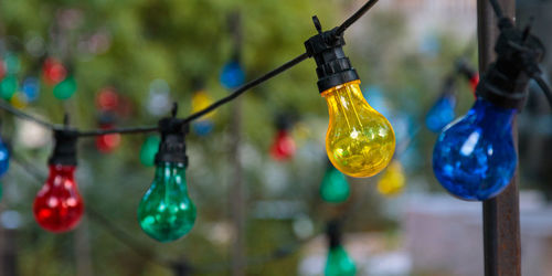 Close-up of light bulbs hanging on glass