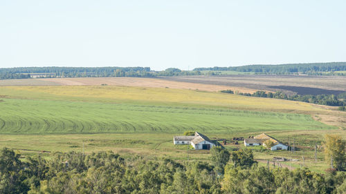 Scenic view of agricultural field against clear sky