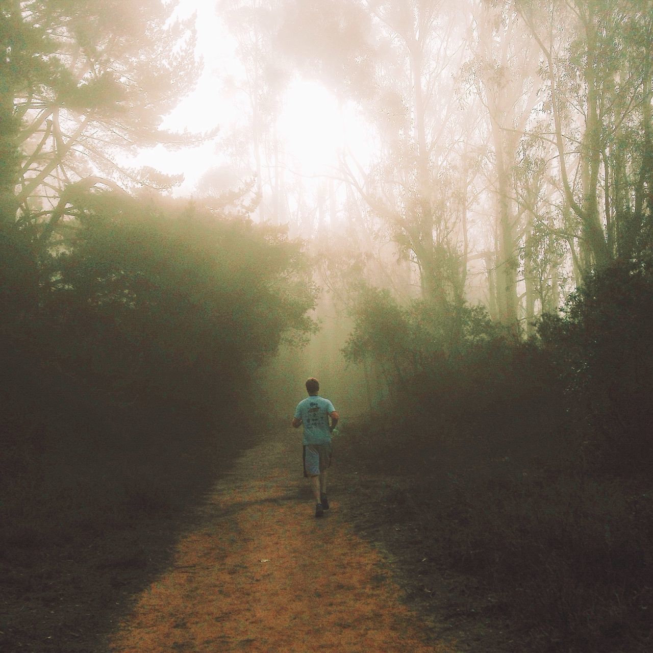 Joaquin Miller Park