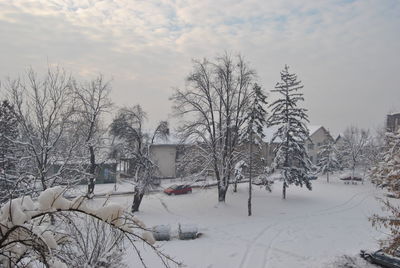 Bare trees on snow covered field against sky