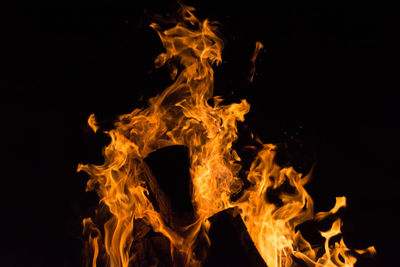 Close-up of fire at night