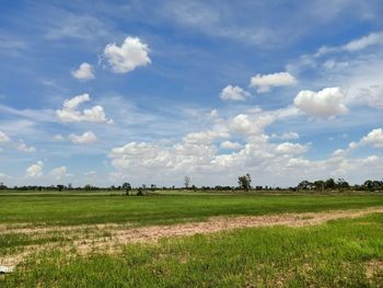 Scenic view of field against sky