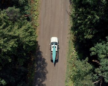 Directly above shot of canoe on car moving amidst trees