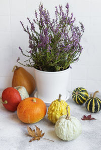 Creative autumn fall thanksgiving day composition with decorative orange pumpkins,