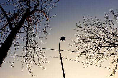 Low angle view of silhouette bare tree against sky