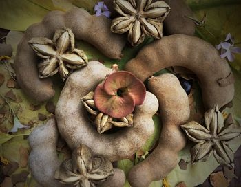 High angle view of fruits on table