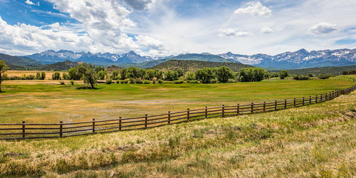 Scenic view of field against sky