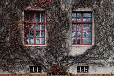 Low angle view of old building