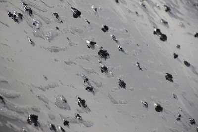 High angle view of snow covered land