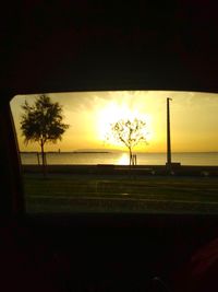 Silhouette trees against sky during sunset