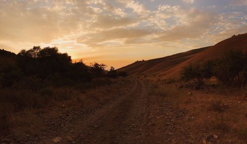Dirt road amidst trees against sky during sunset