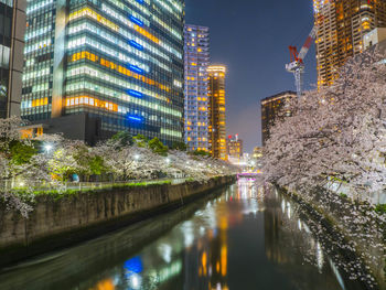 Illuminated buildings in city at night