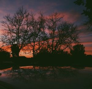 Silhouette trees by lake against sky during sunset