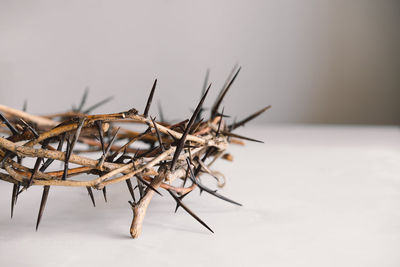 Jesus crown thorns and nails and cross on a white background. easter day
