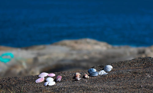 Close-up of stones on beach