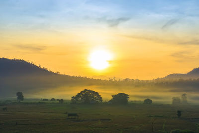 Scenic view of field against sky during sunset