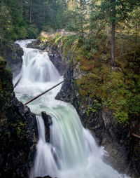 Waterfall in forest