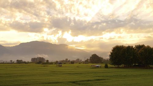 Scenic view of field against sky during sunset