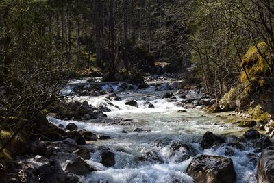 Stream flowing through rocks in forest