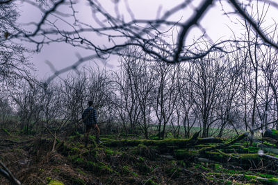 Bare trees on landscape against sky