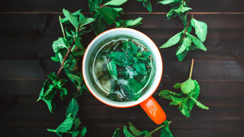 Directly above shot of drink surrounded with herbs on table