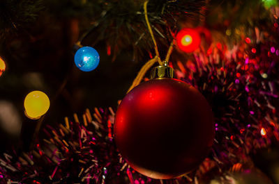 Close-up of christmas baubles hanging on tree