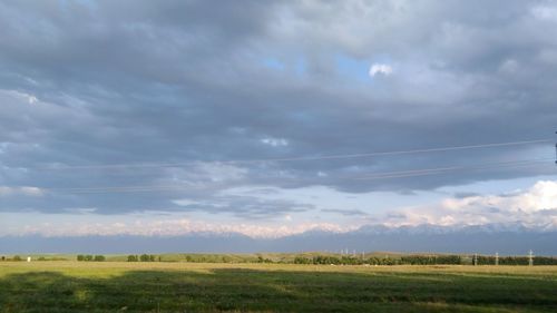 Scenic view of field against sky