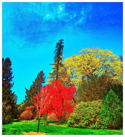 Autumn trees on landscape against blue sky