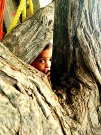 Portrait of smiling boy with tree trunk