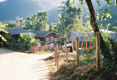 Trees and plants on beach by house and mountains