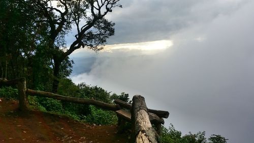 Scenic view of tree against sky