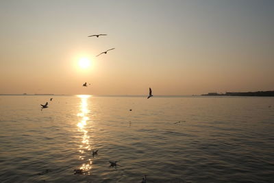 Scenic view of sea against sky during sunset