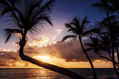 Low angle view of silhouette palm trees at beach against cloudy sky