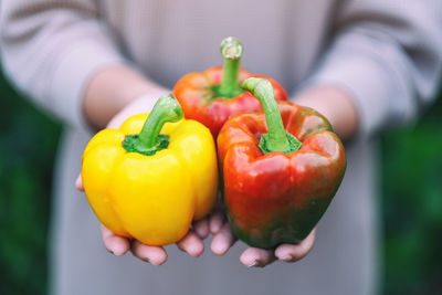 Close-up of hand holding bell peppers