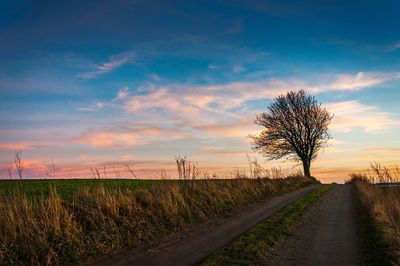 Road by bare trees on field against sky at sunset