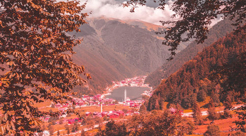 High angle view of illuminated trees in city during autumn