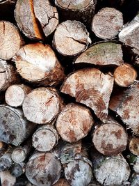 log