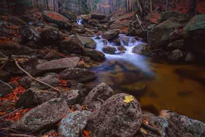 Scenic view of waterfall