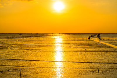 Scenic view of sea against orange sky