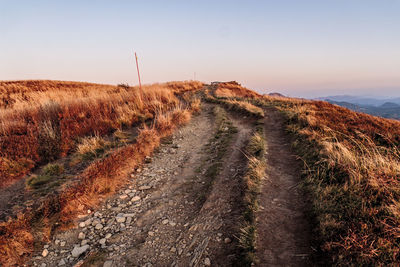 Scenic view of landscape against clear sky