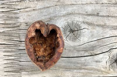 Directly above shot of heart shape on wood
