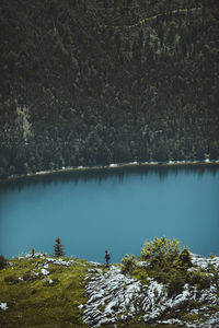 Scenic view of lake in forest