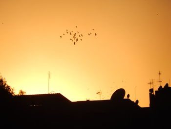 Silhouette birds flying in sky during sunset