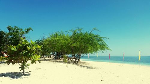 Scenic view of beach against clear sky