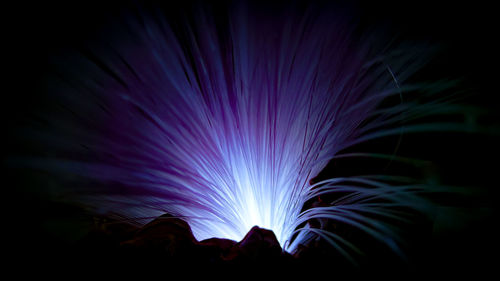 Low angle view of blue lights at night