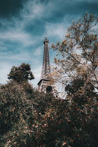 Low angle view of trees and eiffel tower against sky