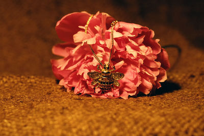 Close-up of red rose on table