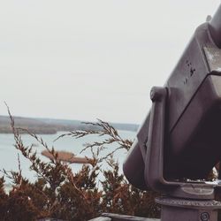 View of trees against sky